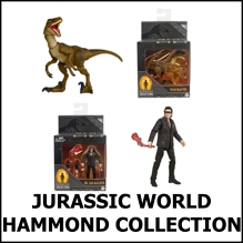 New Hammond Collection