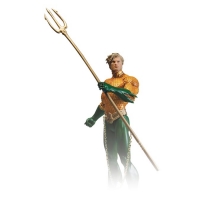 30843 DC Essentials Aquaman 17-cm action figure