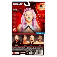 HDD21 WWE Candice Lerae series 131 Basic action figure