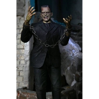 04804 Ultimate Frankensteins Monster (color) 18-cm