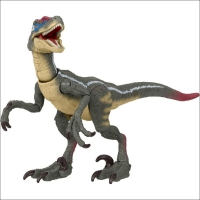 HLT49 Velociraptor (male) Hammond Collection