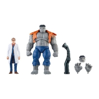 F7084 Marvel Legends 2-pack Gray Hulk and Dr Bruce Banner