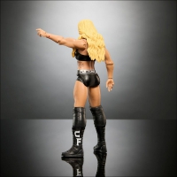 HTW21 WWE Charlotte series 142 Basic action figure