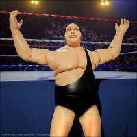 82470 WWE Ultimates Andre the Giant 20-cm