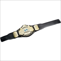 HPL35 WWE World Heavyweight Championship belt