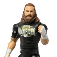 HTW34 WWE Sami Zayn series 145 Basic action figure